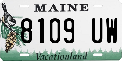 ME license plate 8109UW