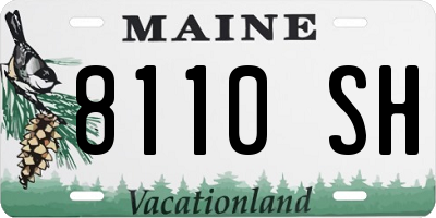 ME license plate 8110SH