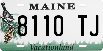 ME license plate 8110TJ