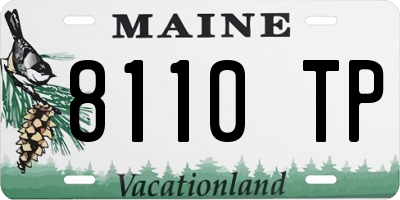 ME license plate 8110TP