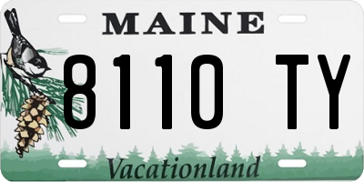 ME license plate 8110TY