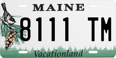 ME license plate 8111TM