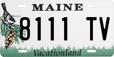 ME license plate 8111TV