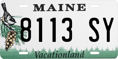 ME license plate 8113SY