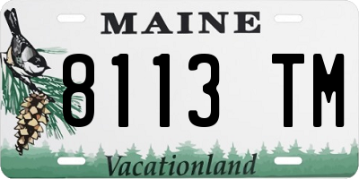 ME license plate 8113TM