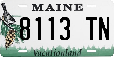 ME license plate 8113TN