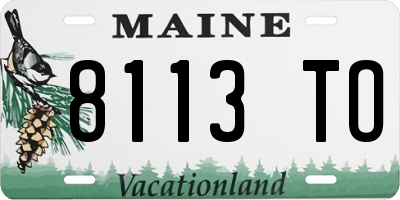 ME license plate 8113TO