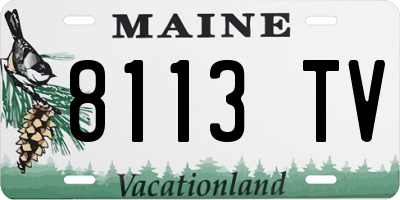 ME license plate 8113TV