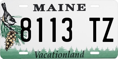 ME license plate 8113TZ