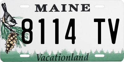 ME license plate 8114TV
