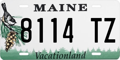 ME license plate 8114TZ