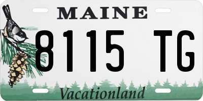 ME license plate 8115TG