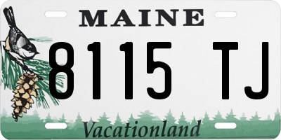 ME license plate 8115TJ