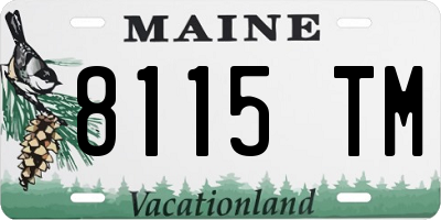 ME license plate 8115TM