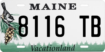 ME license plate 8116TB