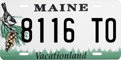ME license plate 8116TO