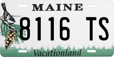 ME license plate 8116TS