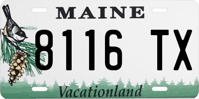 ME license plate 8116TX