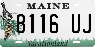 ME license plate 8116UJ