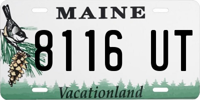 ME license plate 8116UT