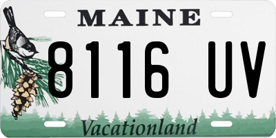 ME license plate 8116UV