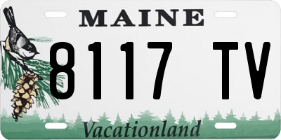 ME license plate 8117TV