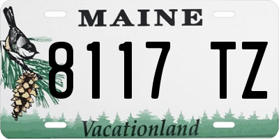 ME license plate 8117TZ