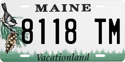 ME license plate 8118TM