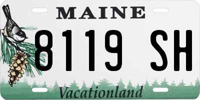 ME license plate 8119SH