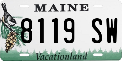 ME license plate 8119SW