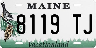 ME license plate 8119TJ