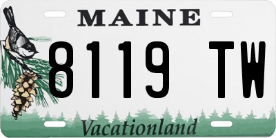 ME license plate 8119TW