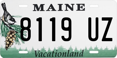 ME license plate 8119UZ