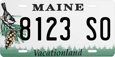 ME license plate 8123SO