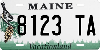 ME license plate 8123TA