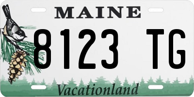ME license plate 8123TG