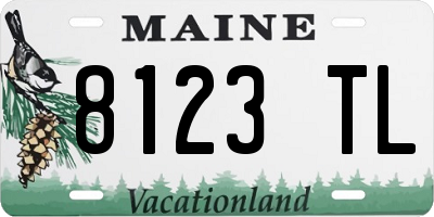 ME license plate 8123TL