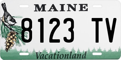 ME license plate 8123TV