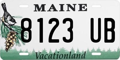 ME license plate 8123UB