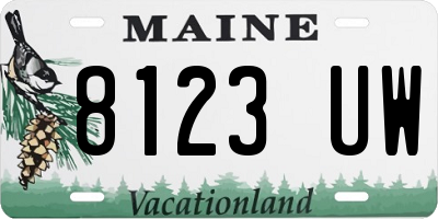 ME license plate 8123UW