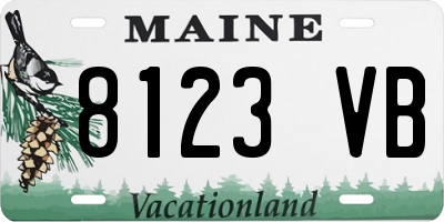 ME license plate 8123VB