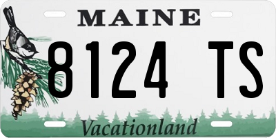 ME license plate 8124TS