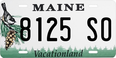 ME license plate 8125SO