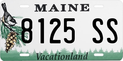 ME license plate 8125SS