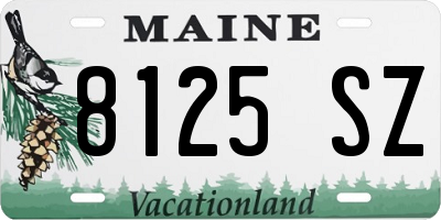 ME license plate 8125SZ
