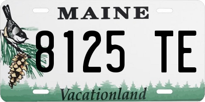 ME license plate 8125TE