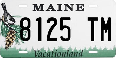 ME license plate 8125TM