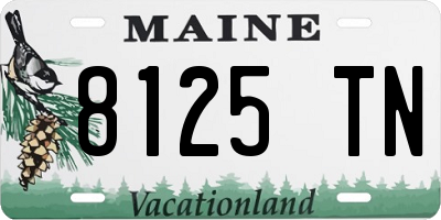 ME license plate 8125TN