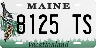 ME license plate 8125TS