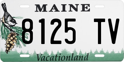 ME license plate 8125TV